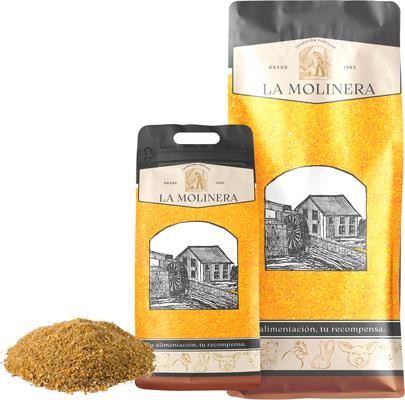 Engorde de Pollos la Molinera